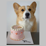 Vintage Style MEAT Cake with Customized Hand Drawn Pet Portraits π