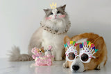 3D Custom Personalized Pet Portrait MEAT Cake π