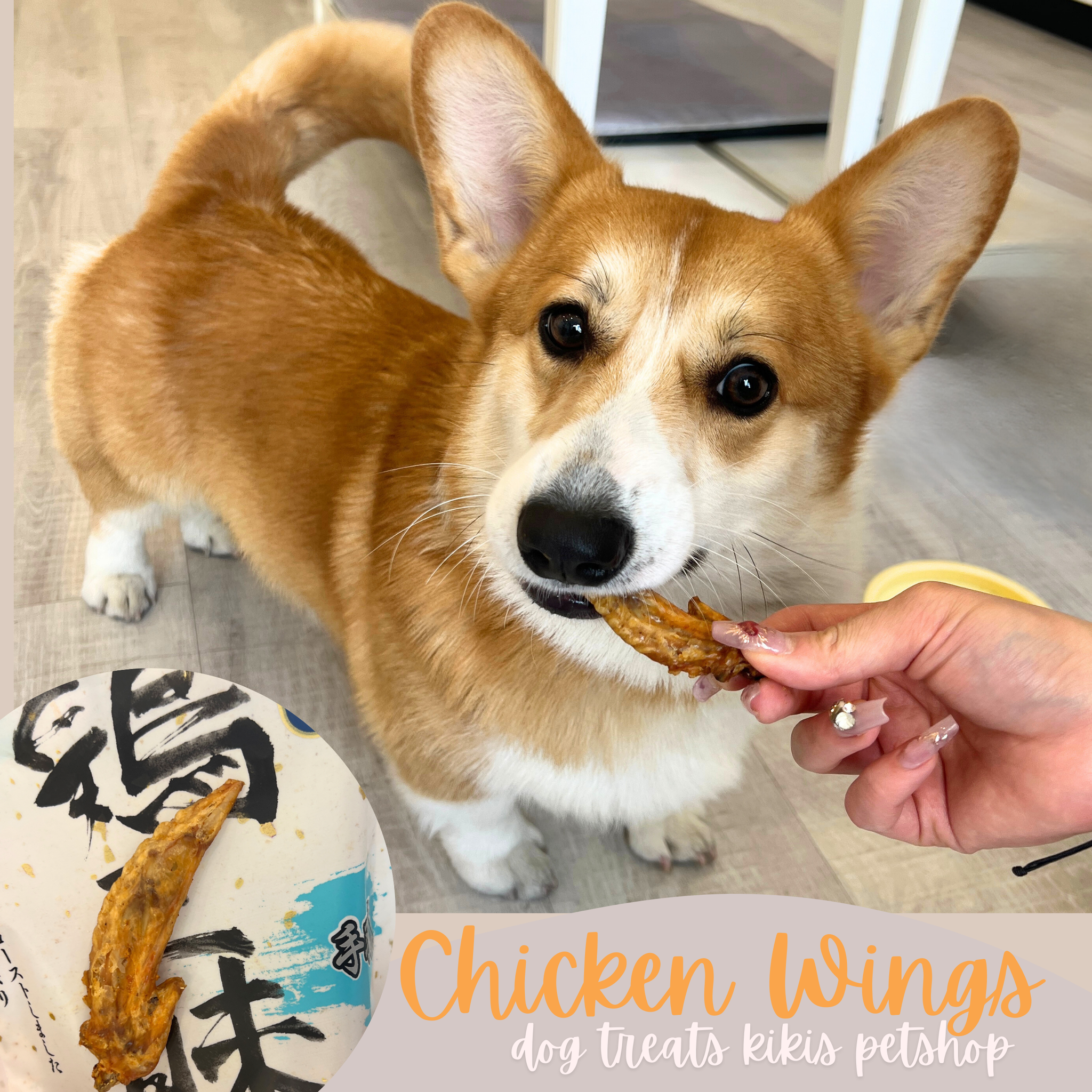 ドッグフード Kiki Ho ドッグフード K9 K9ホキ（白身魚）＆ビーフ・フィースト 170g