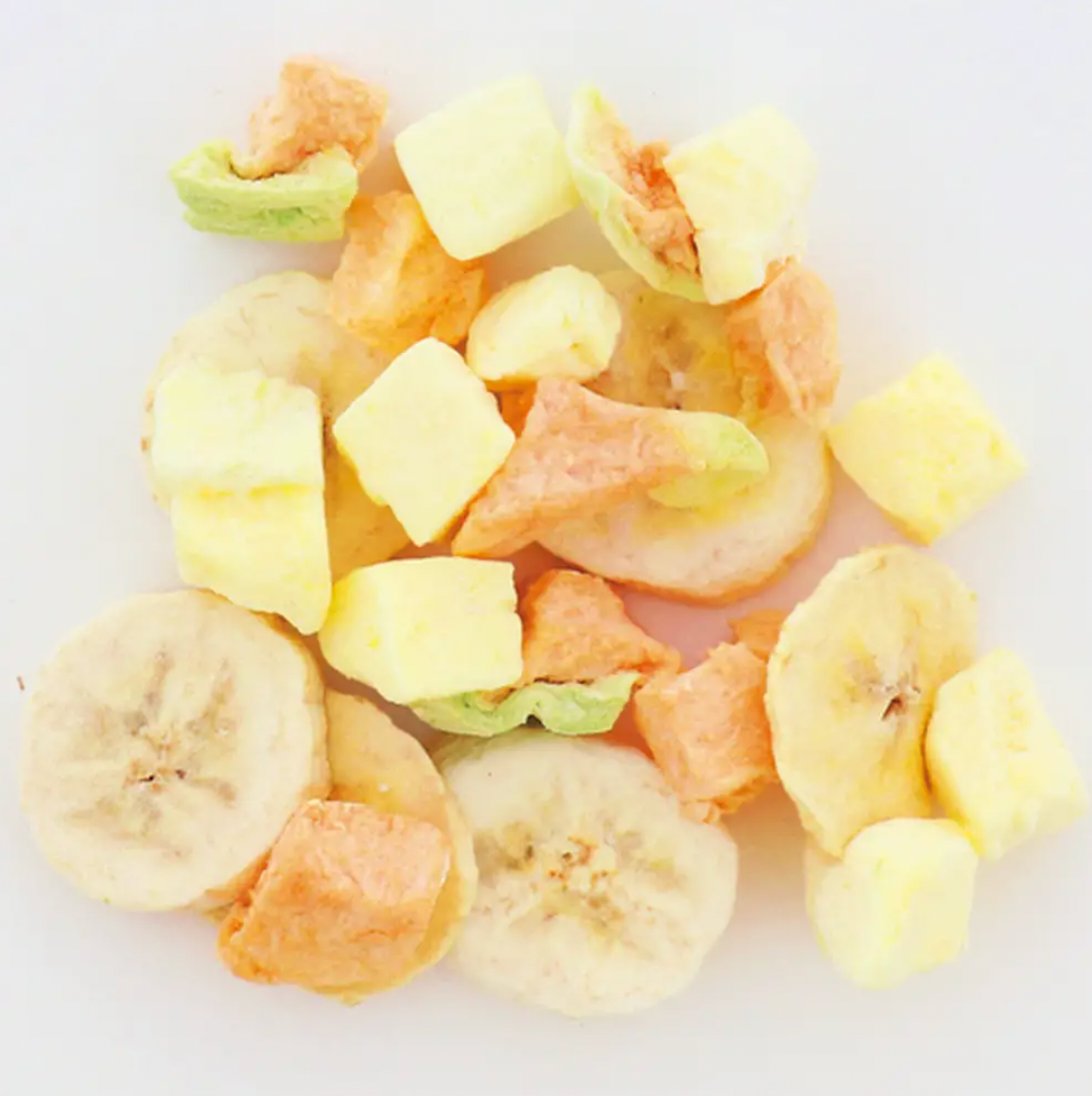 Petio Freeze Dried Fruit Mix for Dogs 20g kikis pet shop