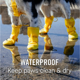CANADA POOCH Waterproof Rain Boots, 15% OFF!