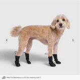 CANADA POOCH Waterproof Rain Boots, 15% OFF!
