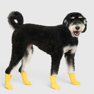 CANADA POOCH Waterproof Rain Boots, 15% OFF!