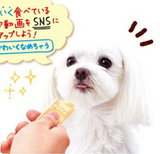 Petio Creamy Cheese-Flavored Stick for dogs. Adorably Lickable!