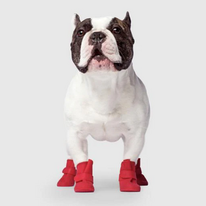 CANADA POOCH Red Wellies Boots, 15% OFF