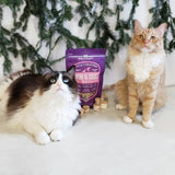 Stella & Chewy's STELLA’S SOLUTIONS SKIN & COAT BOOST