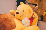 WINNIE THE POOH COLLECTION - Pet Bed