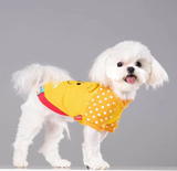 WINNIE THE POOH - dog clothes, spring collection.