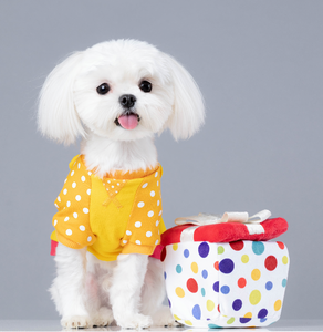 WINNIE THE POOH - dog clothes, spring collection.