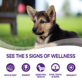 Wellness Complete Health Just for Puppy for Dog