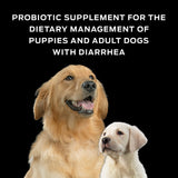 Supplement: Purina Pro Plan Veterinary Supplements FortiFlora, For Dogs.