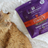 Stella & Chewy's TUMMY TICKLIN’ TURKEY FREEZE-DRIED RAW DINNER MORSELS