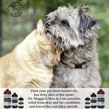 Dr. Maggie Skin & Coat – Omega-3 Fish Oil, for Dogs and Cats.