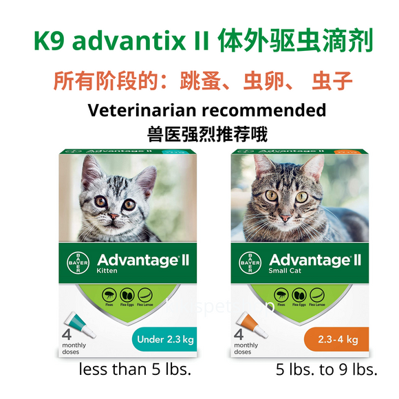 Advantix ii 2024 for cats