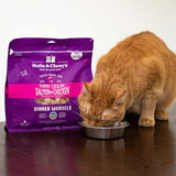 Stella & Chewy's Yummy Lickin’ Salmon & Chicken Freeze-Dried Raw Dinner Morsels.