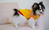 WINNIE THE POOH - dog clothes, spring collection.