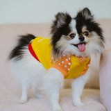 WINNIE THE POOH - dog clothes, spring collection.