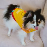 WINNIE THE POOH - dog clothes, spring collection.