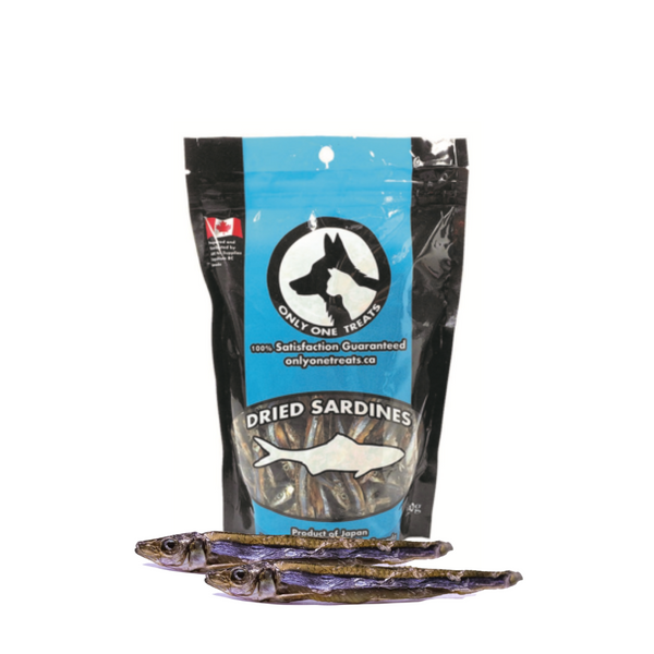 Dried sardines for cats clearance