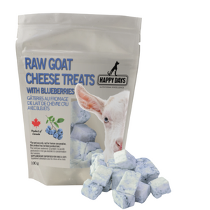 Raw Goat Cheese Treats with Blueberries(frozen product, delivery in TORONTO GTA only)