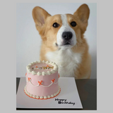 Vintage Style MEAT Cake with Customized Hand Drawn Pet Portraits 🎂