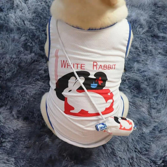 Raptors dog jersey shop
